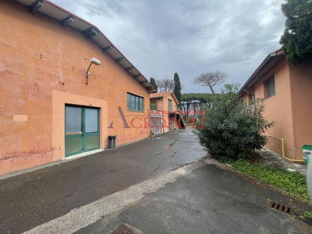 Capannone - Rif. 2583 - Foto 13
