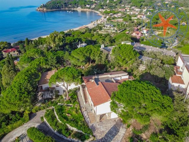 PROCCHIO - ELBA - UN'OASI DI LUSSO E TRANQUILLITÀ NEL CUORE DI PROCCHIO - Foto 8