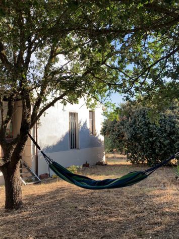 Sardegna!!! Vacanza alternativa in zona Nuragica - Foto 4