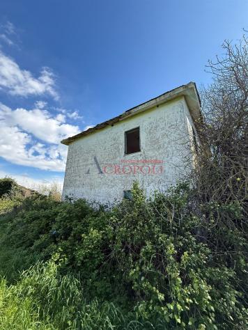 Rustico / Casale - Rif. 2482 - Foto 13