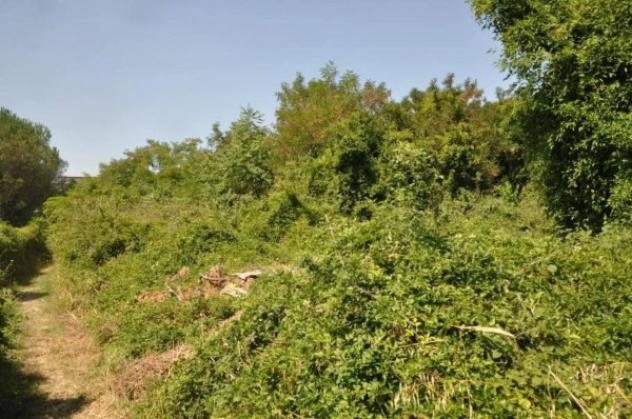 Immobile in asta di 42000 m² in vendita a Foligno - Foto 8