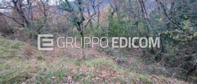 Terreno in vendita a Podenzana - Rif. 3559670 - Foto 5