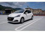 Peugeot 208 BlueHDi 100 S&S 5 porte Active