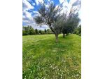 trtc lamm 170r - Lammari – Ampio Terratetto con Giardino Privato e Dependance