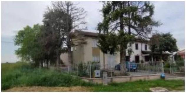 Immobile in asta di 214 m², box auto in vendita a Nogara - Foto 2