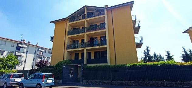 R.G.E. 29/2025 Pavia