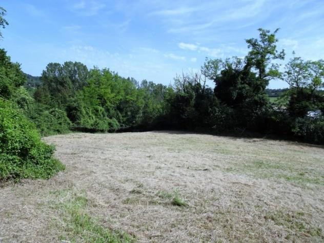 Terreno agricolo in vendita a Poggibonsi 25000 mq Rif: 1292617 - Foto 7