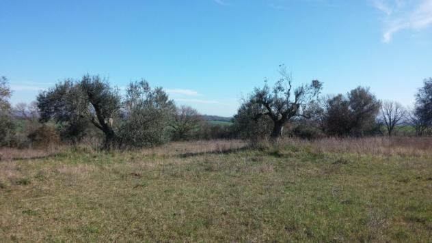 Agricolo in vendita a Siracusa