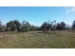 Agricolo in vendita a Siracusa