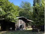 Annesso agricolo in vendita a Marzana - San Miniato 17000 mq  Rif: 1353405