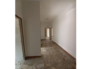 Zona Castello
