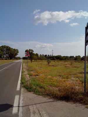terreno agricolo in vendita a Supersano