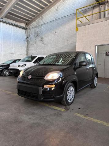 FIAT Panda New Panda 1.0 FireFly S&S Hybrid rif. 21779212