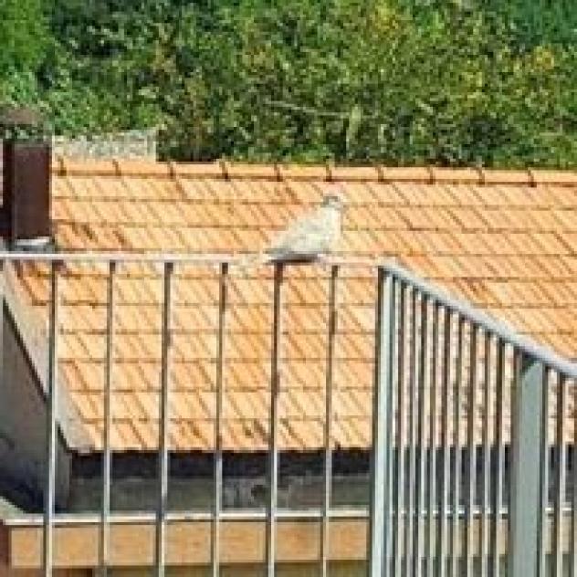 B&B La Tortora