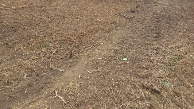 Terreno edificabile - Foto 5