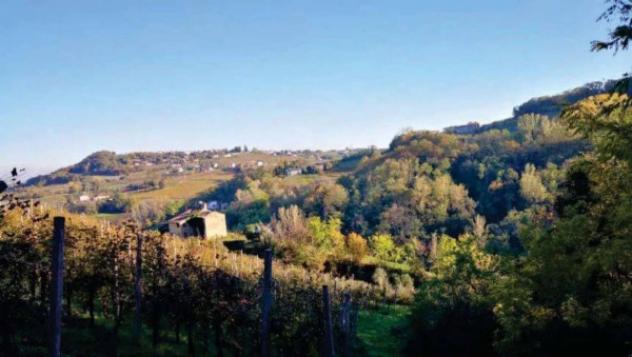 Immobile in asta di 83636 m² in vendita a Refrontolo - Foto 8