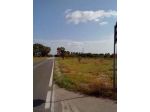 Terreno in agro di Supersano (LE) esteso per circa 11200 mq con 110 alberi  &hellip;