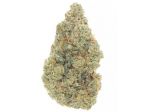 Girl Scout Cookies