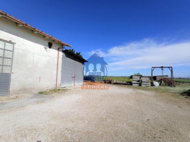 Cervia capannone con 2 ettari di terreno - Foto 6
