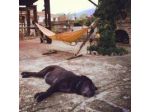 Bed & Breakfast Parco Alta Murgia