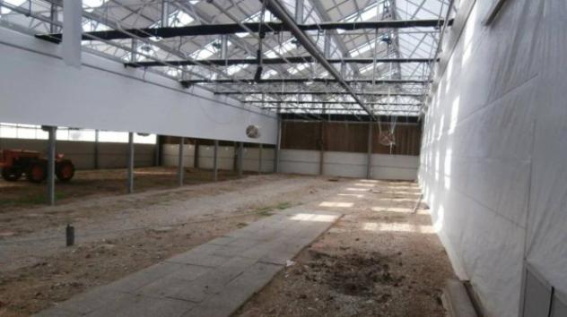 Immobile in asta di 5683 m² in vendita a Castenaso - Foto 9