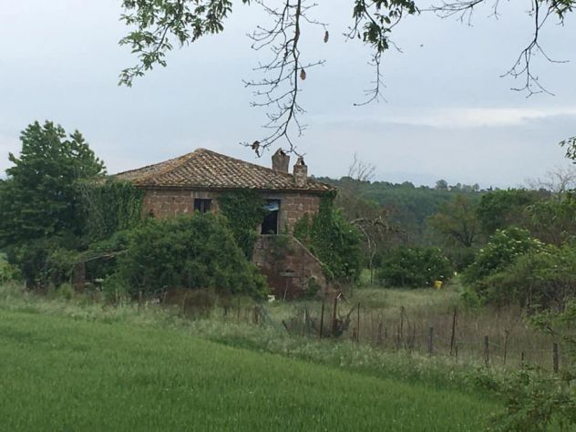 Terreno con casale in vendita a Civita Castellana - Via di Celle - Foto 2