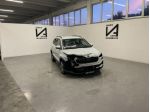 SKODA Karoq 2.0 TDI EVO SCR 115CV DSG EXECUTIVE rif. 24022093