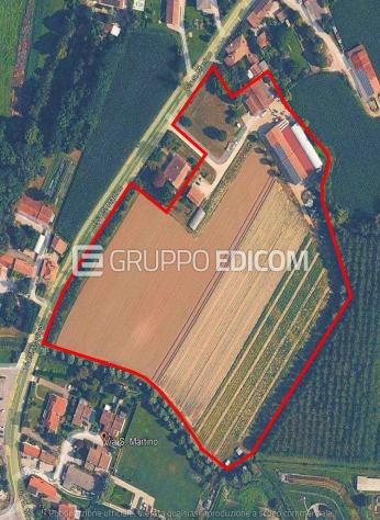 Fabbricati per attività agricole in vendita a Morgano - Rif. 4554118