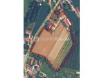 Fabbricati per attività agricole in vendita a Morgano - Rif. 4554118
