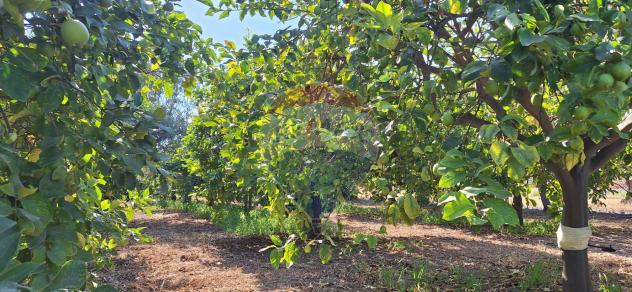 Villa o villino in vendita a Rosolini - Foto 11