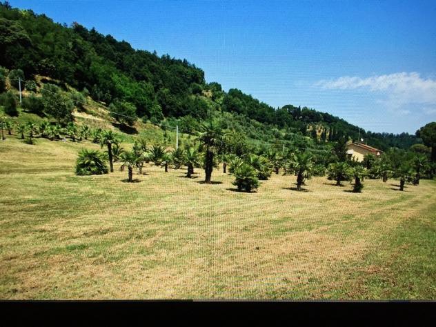 Rustico in vendita a Castelfranco di Sotto 350 mq Rif: 382346 - Foto 10