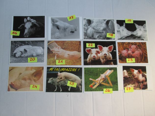 CARTOLINA MAIALI MAIALINI 10 X15 collezione vintage scegli la preferita - Foto 2
