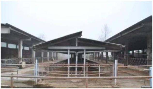 Immobile in asta di 80000 m² in vendita a Castelvisconti - Foto 8