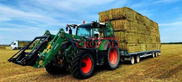 FIUMICINO, CASALE CON TERRENO AGRICOLO IN VENDITA - Foto 4