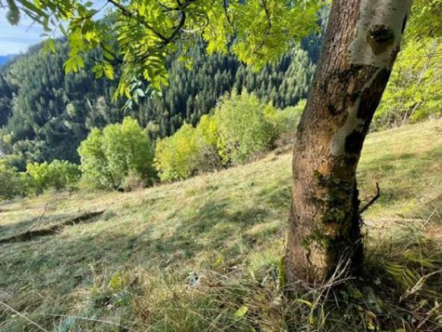 Immobile in asta di 2040 m² in vendita a Grosio - Foto 7