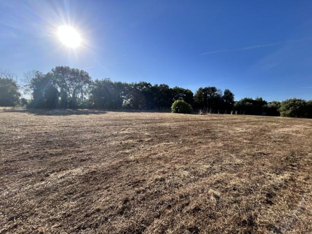 Agricolo in Via Cisternense - Foto 7