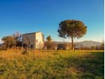 RUSTICO CON TERRENO - STRADA CUPA-FASANI - SESSA AURUNCA - Rif. V3349