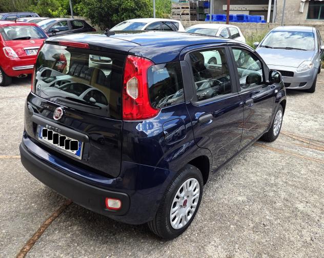 Fiat Panda 1.2 SOLO 34000 KM 5 POSTI GARANZIA - Foto 6
