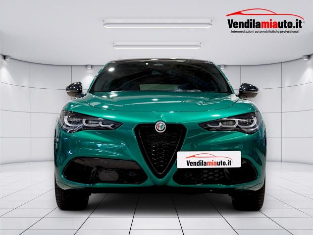 Alfa Romeo Stelvio Stelvio 2.2 t Tributo Italiano Q4 210cv auto (presso la sede di Padova) - Foto 2