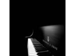 PIANISTA - TASTIERISTA