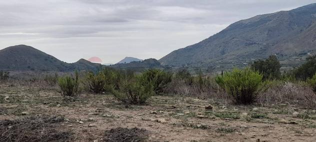 Terreno in vendita a Caccamo - Foto 11