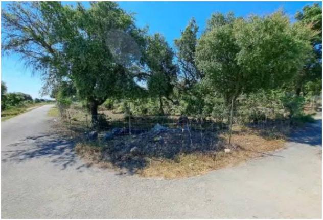 Immobile in asta di 10500 m² in vendita a Melilli - Foto 10