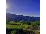 B&B Rosso del Chianti