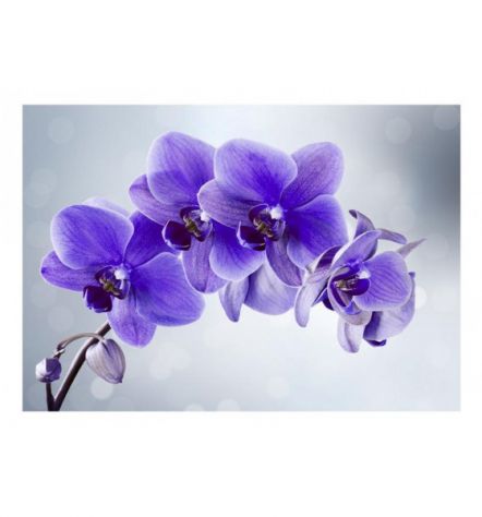 Fotomurale Adesivo Con Le Orchidee Blu ARREDALACASA - Foto 2