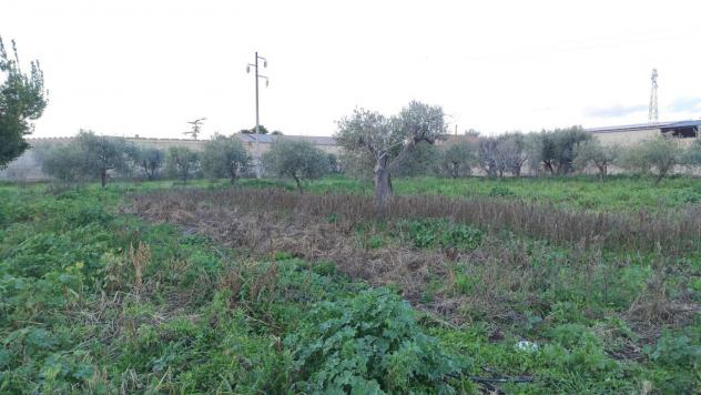 Terreno Agricolo - San Severo . Rif.: Cod. rif 3294216VCG - Foto 7