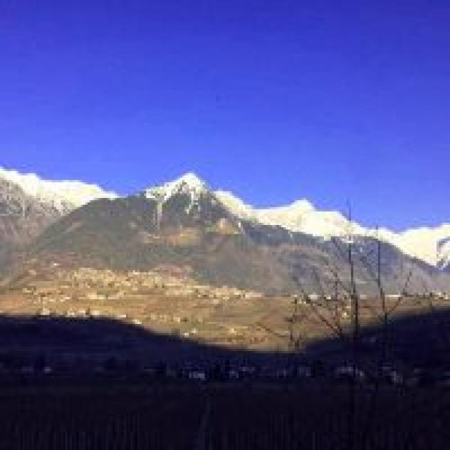 Pensione Planta