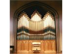 Organista