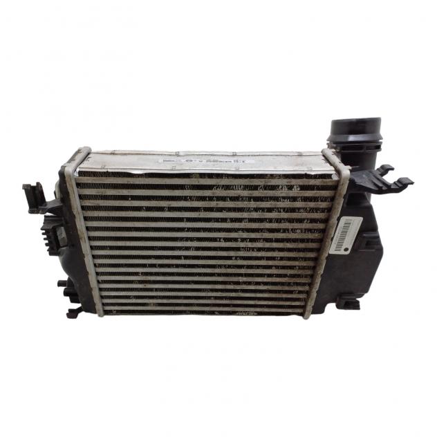INTERCOOLER RENAULT Kadjar Serie 14461-4EA0A K9K 646, K9K 647, K9K 648, K9K 649 Diesel 1500 (15) - Foto 4