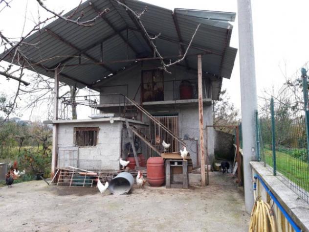 Immobile in asta di 234 m² in vendita a Isola del Liri - Foto 5