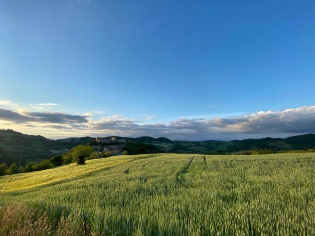 Cascinale con terreno a corpo - Foto 2